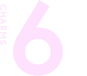 6 CHARMS 当法人で働く4つの魅力